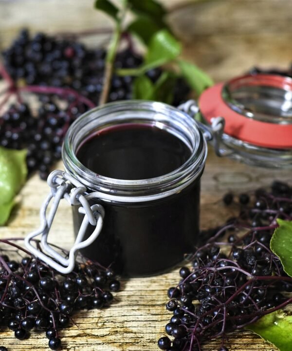elderberry health benefits