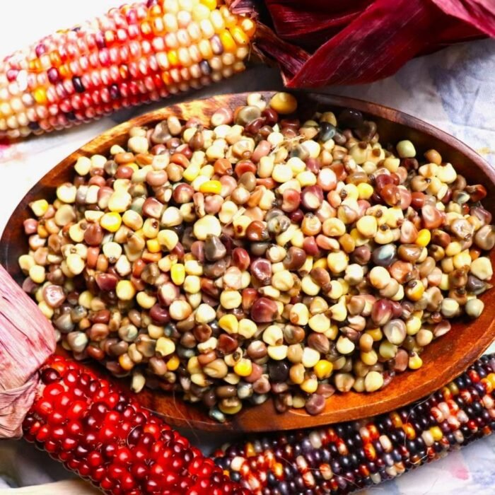 Ornamental Indian Corn Seeds